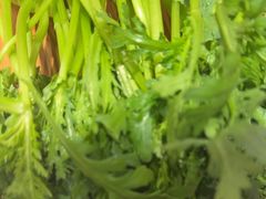 -蝎王府羊蝎子(西直门店)
