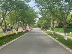 -长田漾湿地公园