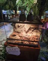 点击看大图 -酷嗒动物文化乐园(cutezoo西溪乐天城店)