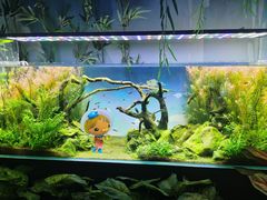 -沈阳海洋探索中心