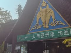 -野象谷景区