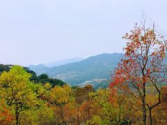 -广州市石门国家森林公园
