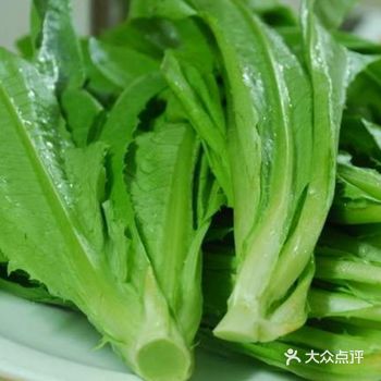 春天吃什么之三 要说春天吃什么最养生