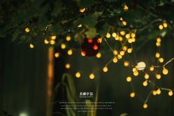 -美薇亭婚礼顾问