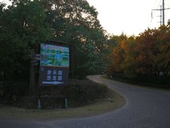 -上海海湾国家森林公园