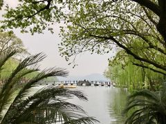 -星巴克(西湖天地店)