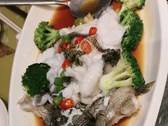 -顺意·顺德家乡菜(国际人才大厦店)