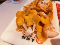 鸡油菇-大熊猫毛肚火锅(烟台万象汇店)