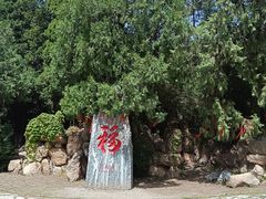 -潭柘寺景区