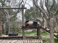 -上海野生动物园