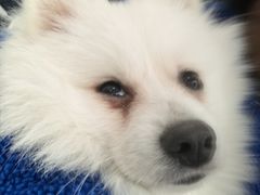 -怪兽屋·羊驼·猫咖·狗咖(俊华广场店)