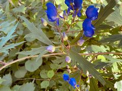 -白草畔自然风景区