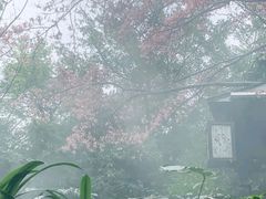 -嘉和K6温泉微度假