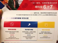 -菠萝国际教育专注Alevel·IGCSE·IB·AP·托福雅思培训辅导(静安校区)