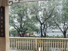 -晓港公园