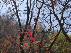 -终南山南五台景区