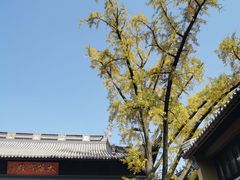 -灵谷景区