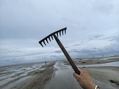 -北海金海湾红树林生态旅游区