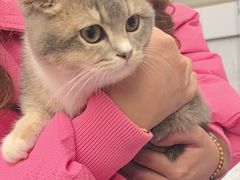 -瑞派康怡24h宠物医院·犬猫医疗中心·微创绝育(瑞景分院)
