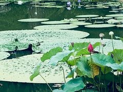 -国家植物园南园