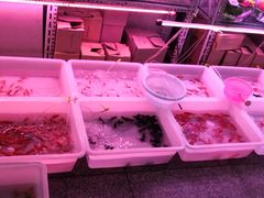 -宝鸡东道花鸟鱼虫市场(吉利花园商场店)