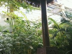 android_upload_pic-龙达温泉生态城