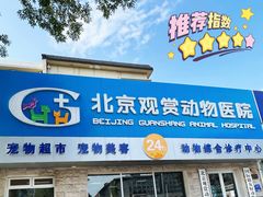 -北京观赏动物医院·24小时大型综合·猫专科·异宠专科