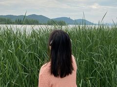 -东湖落雁景区