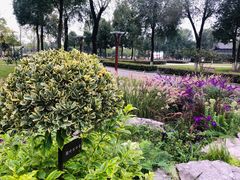 -眉山湿地公园(东坡区)