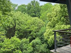 -西湖风景区-江洋畈生态公园