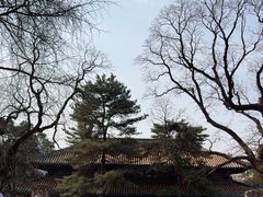 -潭柘寺景区