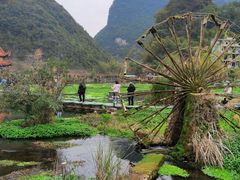 -靖西鹅泉风景区