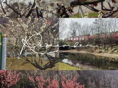 -幕燕滨江·长江观音景区