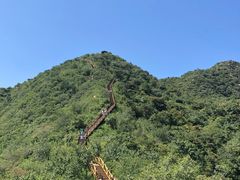 -大岭沟猕猴桃谷风景区