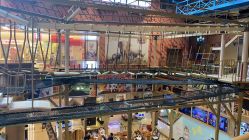 -卡通尼·Safari非洲探索乐园·生日会(金桥国际商业广场店)