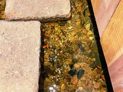 -邈墨茶馆(凤起路店)