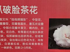 -洛龙公园