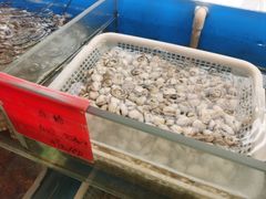 -华盛丰温州大排档(东三环南路店)