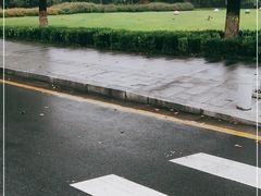 -中央公园(苏州工业园区)