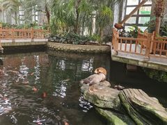 -南宫五洲植物乐园