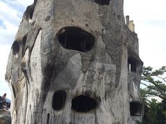 -疯狂屋