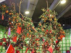 -番食园鲜食火锅(高新店)