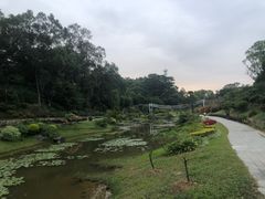 -东莞植物园