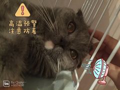 -Oh My Dog宠物沙龙(伊珊娜皮毛护理店)
