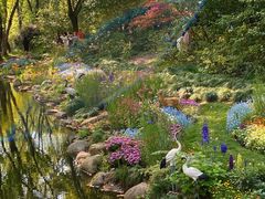 -上海共青森林公园