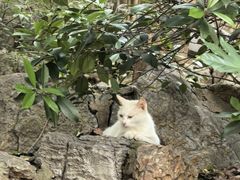 -云龙山