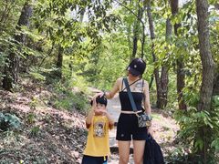 -青龙山国家森林公园