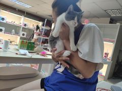 -lincat·猫舍(广州店)