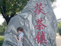-茯茶镇