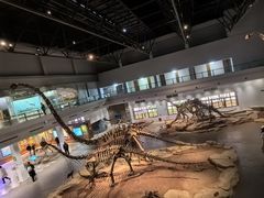 -自贡恐龙博物馆